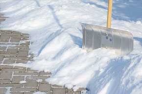 Hausmeister Gartenpflege München Treppenreinigung Winterdienst